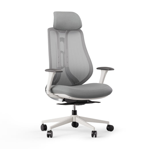 Fotel ergonomiczny OmniSit Pro
