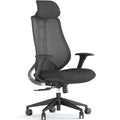 Fotel ergonomiczny OmniSit Pro - 2