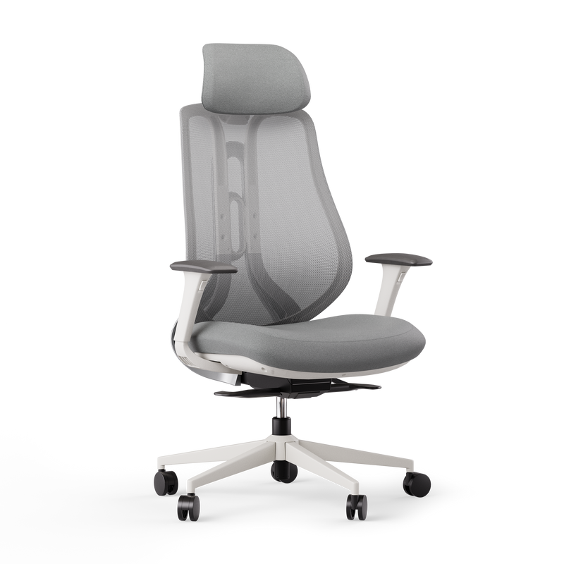 Fotel ergonomiczny OmniSit Pro