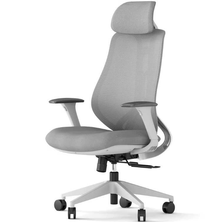 Fotel ergonomiczny Ergonix OmniSit Pro